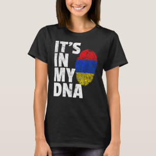 Camiseta É Nacional Do Meu Orgulho De Bandeira Armênio Do D