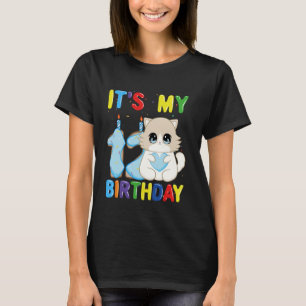 Camiseta É o Meu 12º Aniversário Menino Gato Ragdoll de 12