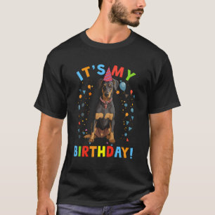 Camiseta É O Meu Doberman De Aniversário Que Oferece Um Cac