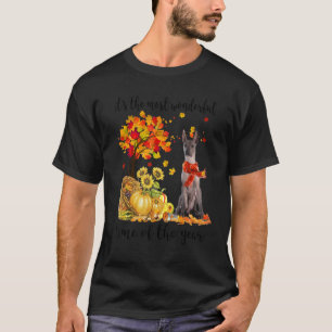 Camiseta É o momento mais maravilhoso do outono Xoloitzcuin