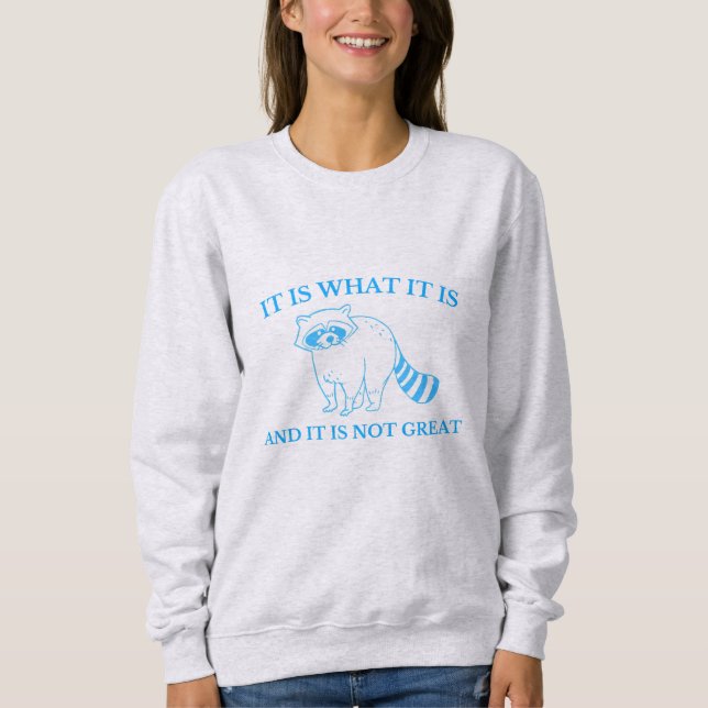 Camiseta É O Que É E Não É Desenho Excelente (Frente)
