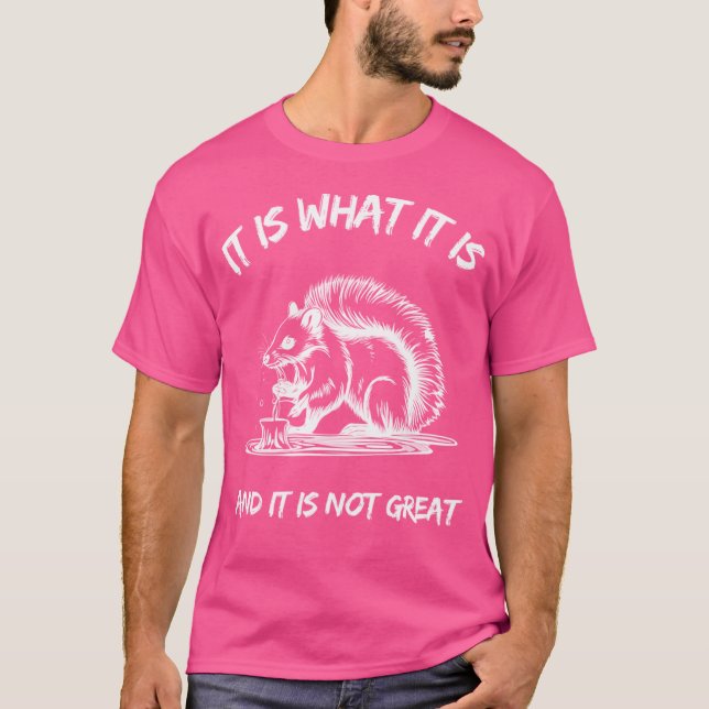 Camiseta É O Que É E Não É O Excelente Skunk (Frente)