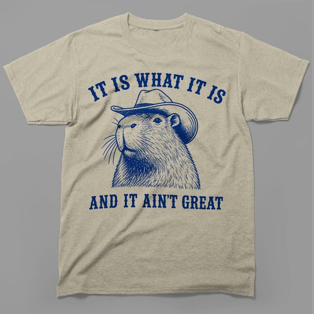 Camiseta É O Que É E Não É Ótimo Capivara (Criador carregado)