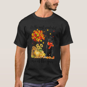 Camiseta É o tempo de outono mais maravilhoso, Labrador Pum