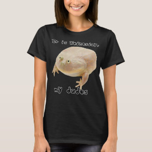 Camiseta É quarta-feira Meu Sapo Clássico Engraçado Memo O