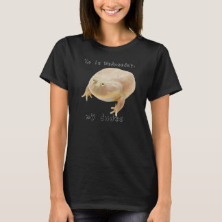 Camiseta É quarta-feira, meu Sapo clássico engraçado Memóri