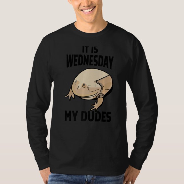 Camiseta É Quarta-Feira Meus Amigos (Frente)