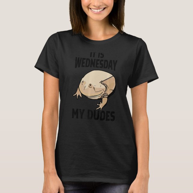 Camiseta É Quarta-Feira Meus Amigos (Frente)