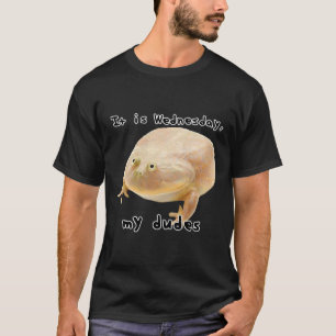 Camiseta É quarta-feira pessoal meme engraçado de sapo