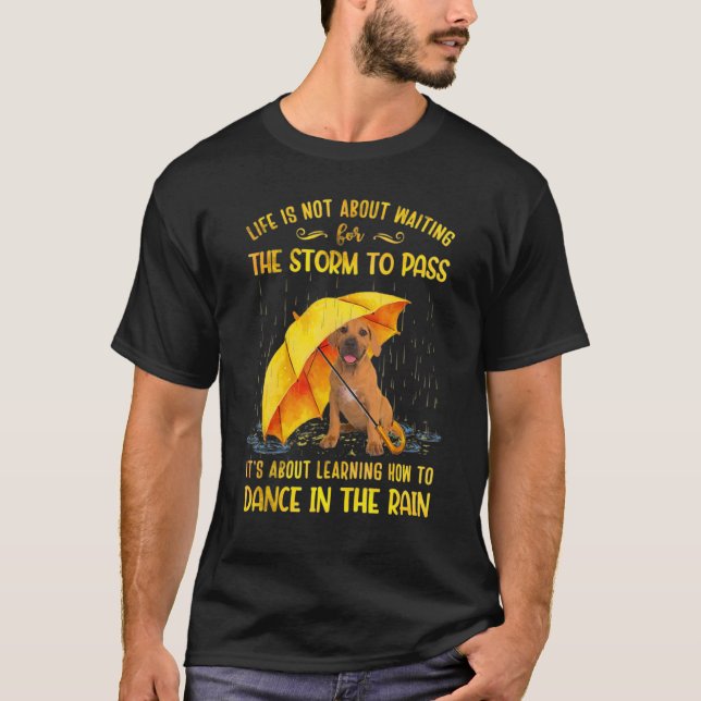 Camiseta É sobre aprender a dançar no berço da chuva (Frente)