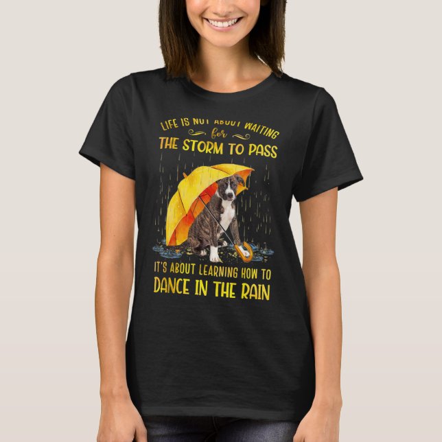 Camiseta É sobre aprender a dançar no cérebro da chuva (Frente)