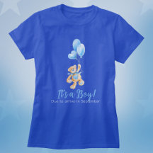 É uma gravidez de menino devido a um urso de pelúc