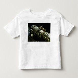 Camiseta Efígie de Edward o príncipe preto, 1376