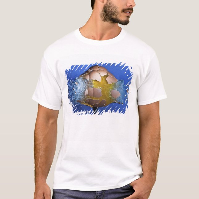 Camiseta Eggceptional (Frente)