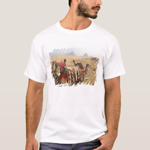 Camiseta Egito, Cairo. Camelos descansando