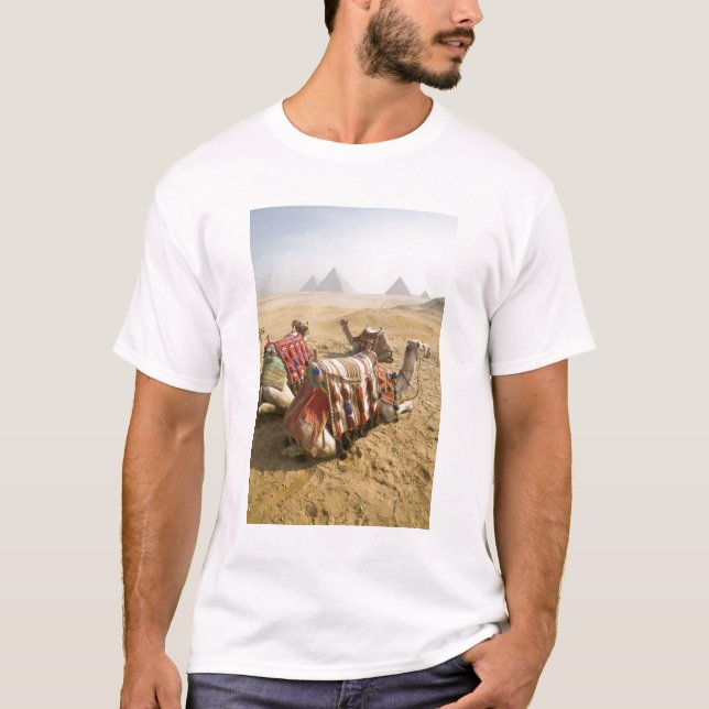 Camiseta Egito, Cairo. Camelos descansando (Frente)