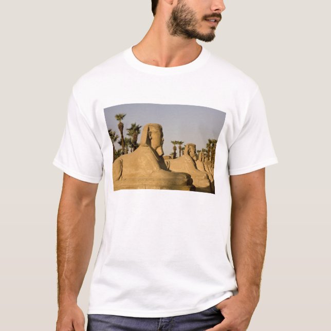 Camiseta Egito, Luxor. A Avenida das Esfinges leva a (Frente)