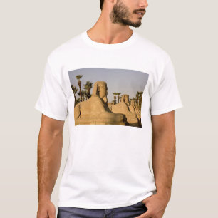 Camiseta Egito, Luxor. A Avenida de Esfinges leva a