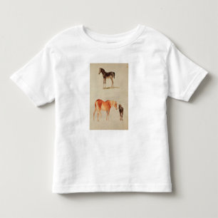 Camiseta Éguas e potros