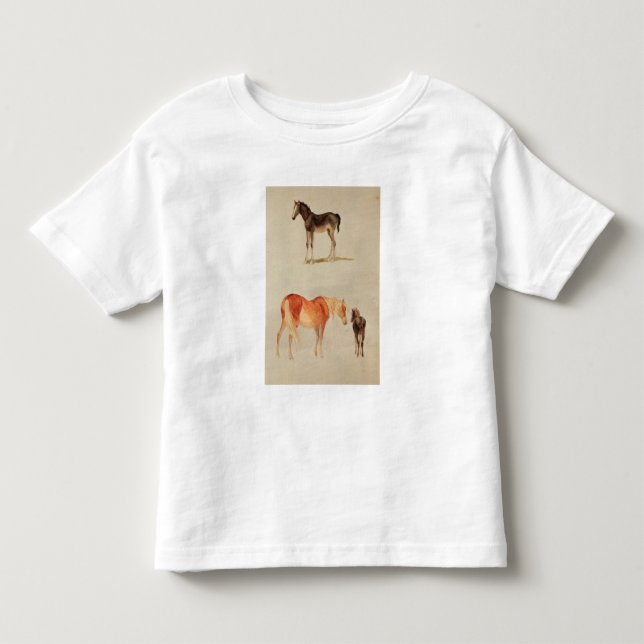 Camiseta Éguas e potros (Frente)