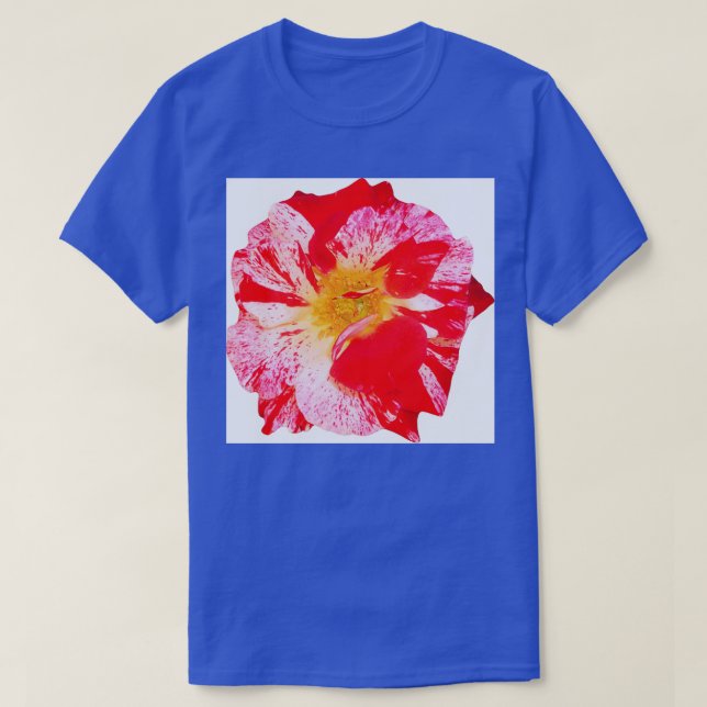 Camiseta Ei, Soul Sister (Frente do Design)