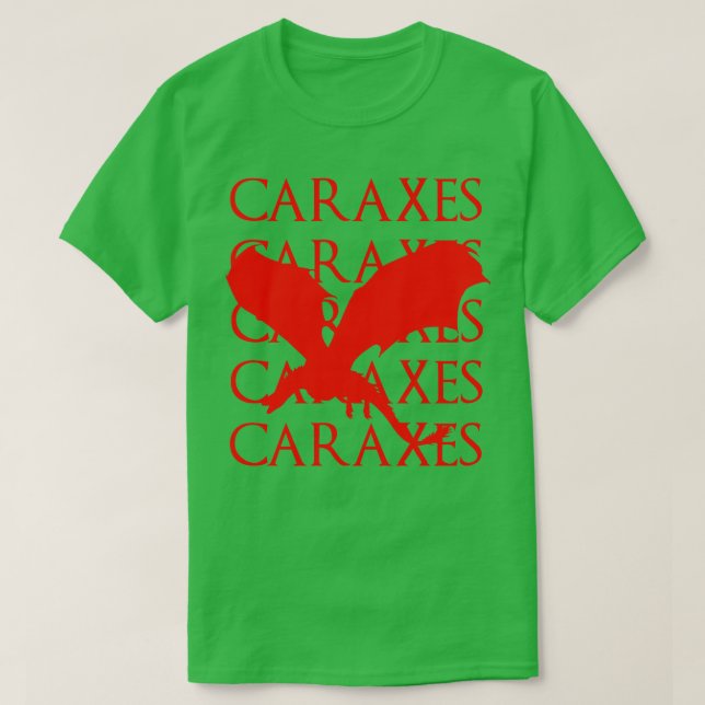 Camiseta eixos 5 (Frente do Design)