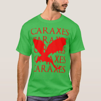 Camiseta eixos 5