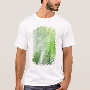 Camiseta Eixos da luz solar