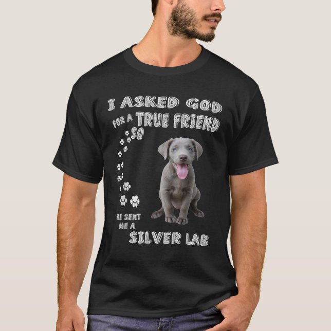 Camiseta Ele Me Enviou Um Laboratório De Prata (Frente)