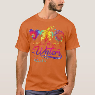 Camiseta Ele Me Leva Ao Lado Das Águas Estáticas, TieDye Ps