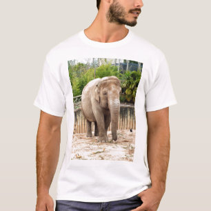 Camiseta elefante indiano