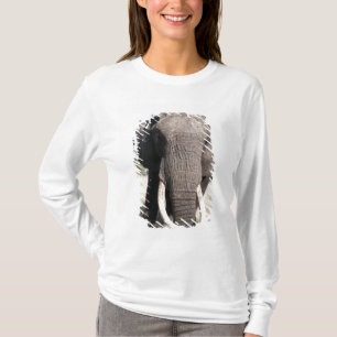 Camiseta Elefante (Loxodonta africana), Abu Camp 3