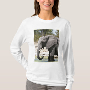 Camiseta Elefante (Loxodonta africana), Canal Savute