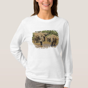 Camiseta Elefantes Africanos, Loxodonta Africana, Samburu