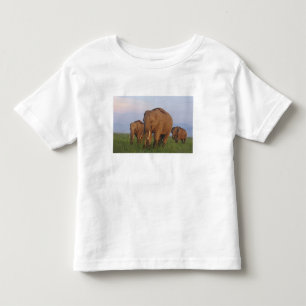 Camiseta Elefantes indianos na pastagem
