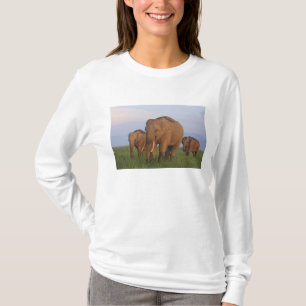 Camiseta Elefantes indianos na pastagem, Corbett