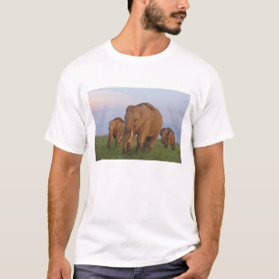 Camiseta Elefantes indianos no campo de grama