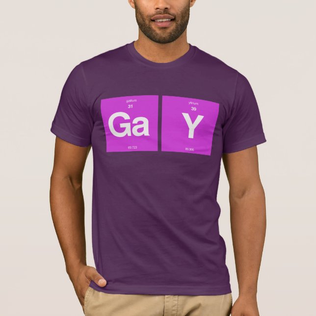 CAMISETA ELEMENTOS GAYS (Frente)