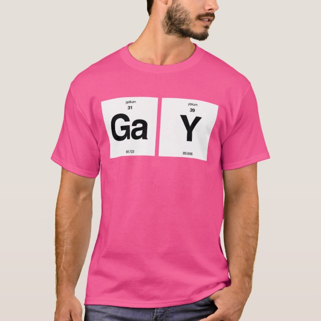 CAMISETA ELEMENTOS GAYS (Frente)
