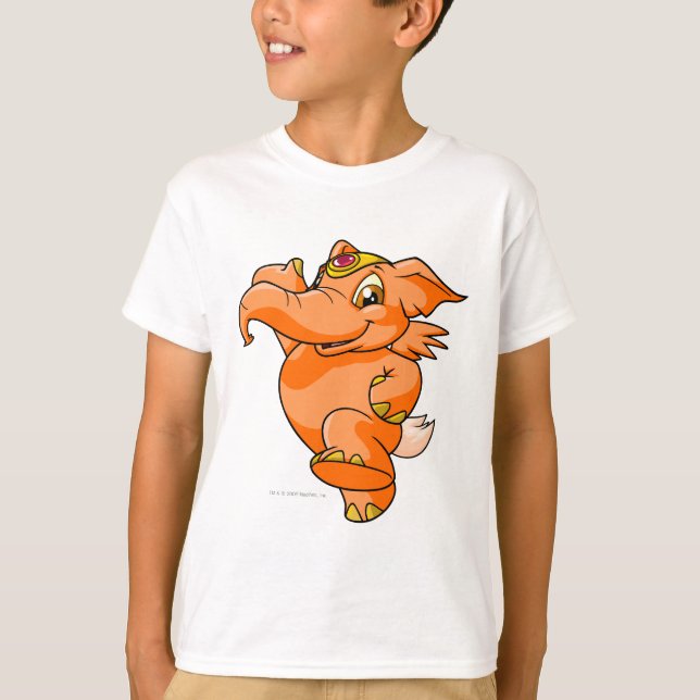Camiseta Elephante Orange (Frente)