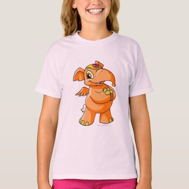 Camiseta Elephante Orange (Frente)