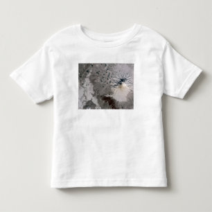 Camiseta Elevações ricas de uma pena da cinza