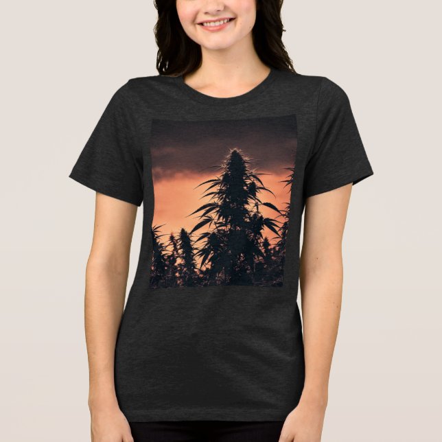Camiseta Eleve seu estilo com o Silhuet da Colina de Cannab (Frente)