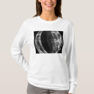 Camiseta Elipse lunar