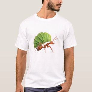 Camiseta Emerald Leafwing Ant