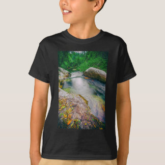 Camiseta Encerramento da lagoa a montante da cascata