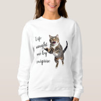 Energetic Cat Leap