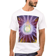Camiseta Energia da Estrela