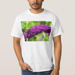 Camiseta energia do grilo-katydid