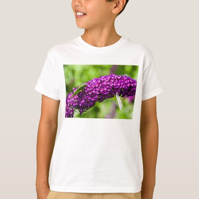 Camiseta energia katydid (Frente)